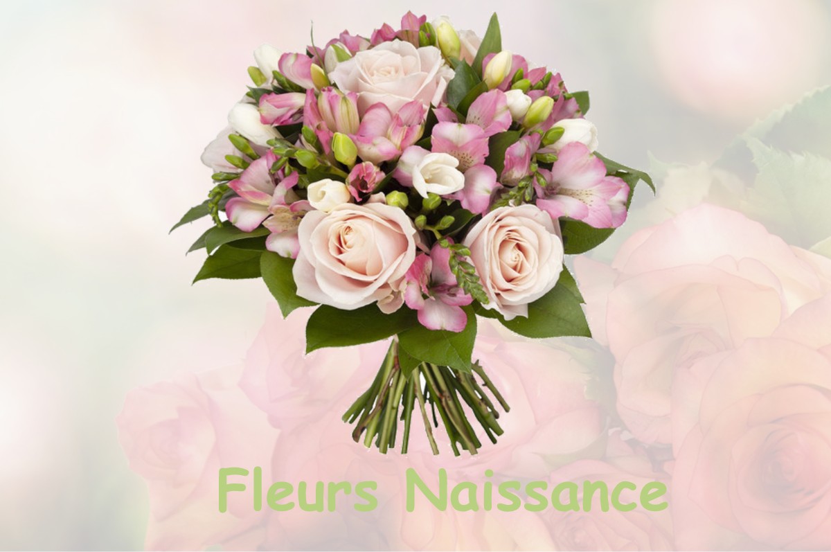 fleurs naissance CERCOTTES