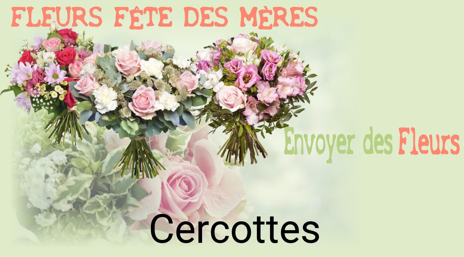 Bouquet de Fête des Mères livré à Cercottes