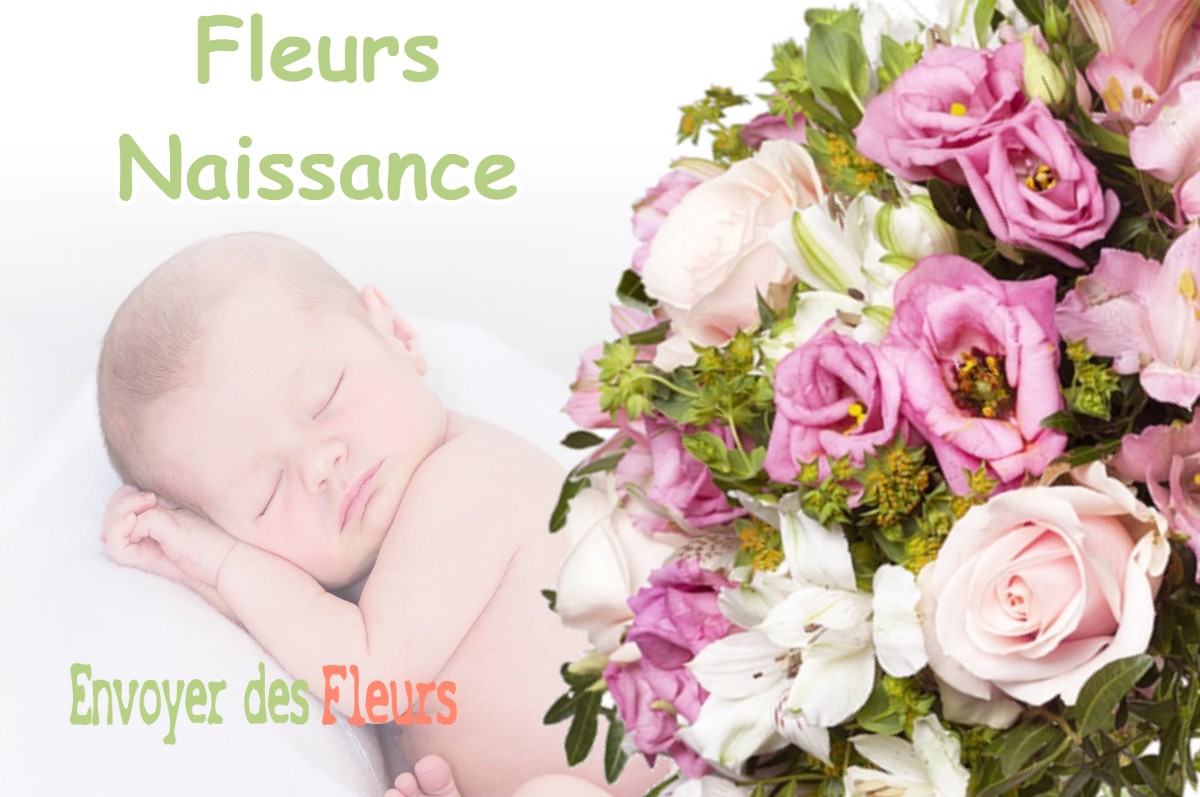 lIVRAISON FLEURS NAISSANCE à CERCOTTES